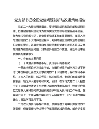 党支部书记检视党建问题剖析与改进策略报告