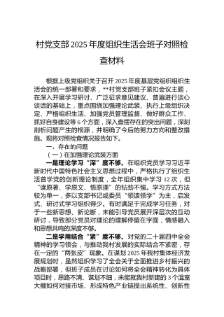 村党支部2025年度组织生活会班子对照检查材料