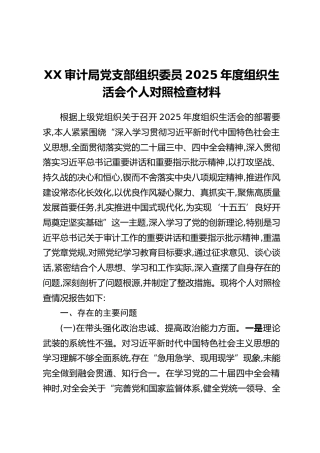 XX审计局党支部组织委员2025年度组织生活会个人对照检查材料