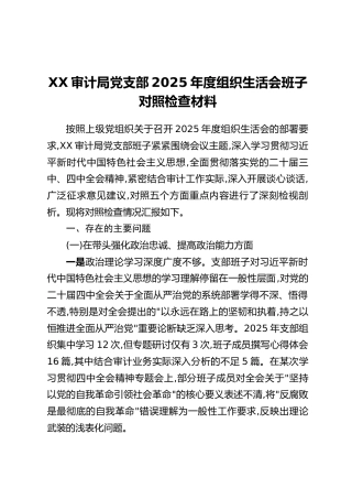 XX审计局党支部2025年度组织生活会班子对照检查材料
