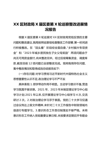 XX区财政局X届区委第X轮巡察整改进展情况报告