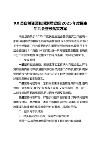 中共XX县自然资源和规划局党组2025年度民主生活会整改落实方案