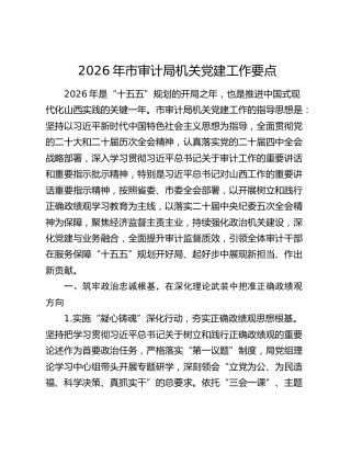 2026年市审计局机关党建工作要点