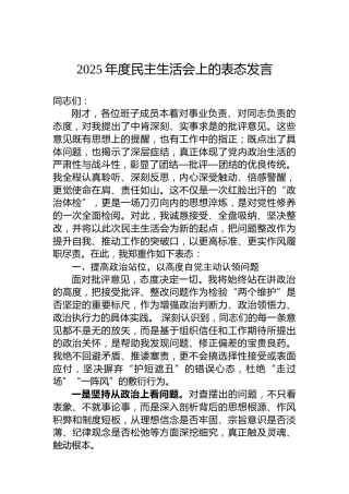 2025年度民主生活会上的表态发言