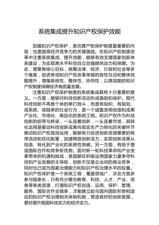 系统集成提升知识产权保护效能