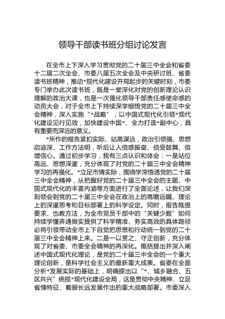领导干部读书班分组讨论发言