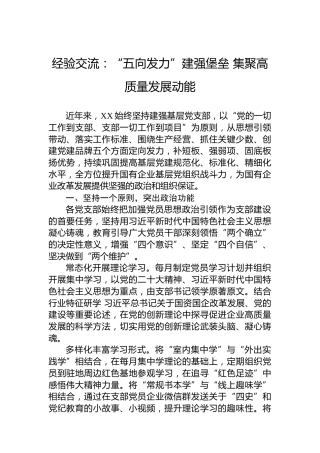 经验交流：“五向发力”建强堡垒集聚高质量发展动能