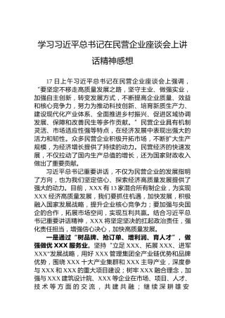 学习习近平总书记在民营企业座谈会上讲话精神感想