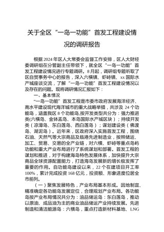 关于全区“一岛一功能”首发工程建设情况的调研报告