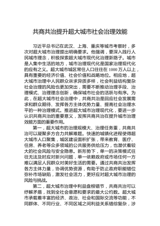 共商共治提升超大城市社会治理效能