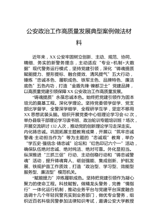 公安政治工作高质量发展典型案例做法材料