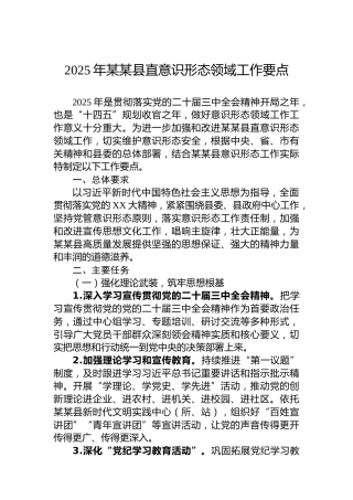 2025年某某县直意识形态领域工作要点