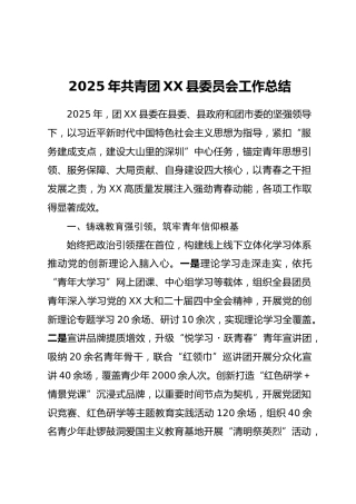 2025年共青团XX县委员会工作总结