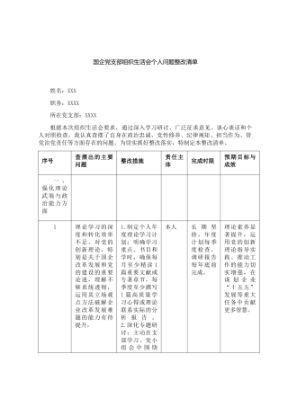 国企党支部组织生活会个人问题整改清单
