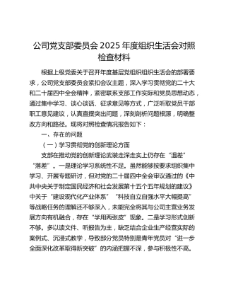 公司党支部委员会2025年度组织生活会对照检查材料