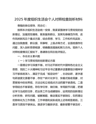 2025年度组织生活会个人对照检查剖析材料
