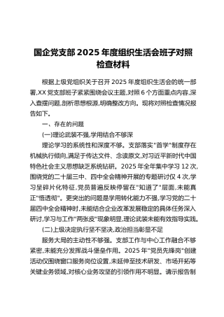 国企党支部2025年度组织生活会班子对照检查材料
