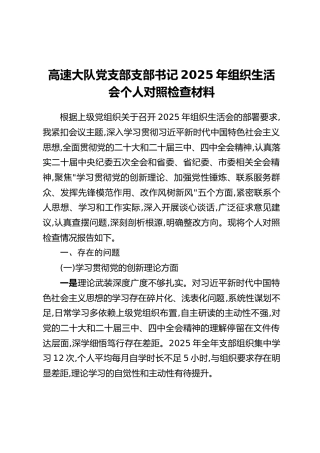 高速大队党支部支部书记2025年组织生活会个人对照检查材料