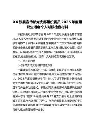 XX旗委宣传部党支部组织委员2025年度组织生活会个人对照检查材料