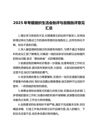 2025年专题组织生活会批评与自我批评意见汇总