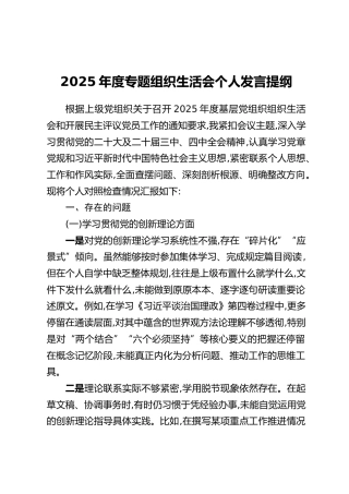 2025年度专题组织生活会个人发言提纲