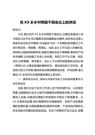 在XX乡乡村两级干部会议上的讲话