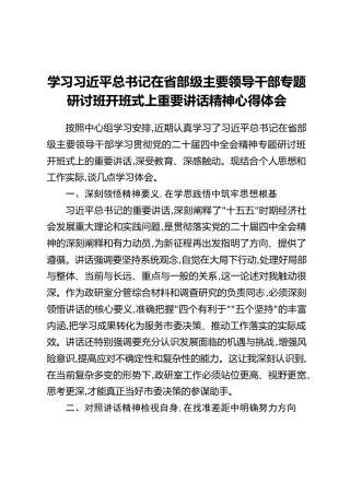 学习习近平总书记在省部级主要领导干部专题研讨班开班式上重要讲话精神心得体会