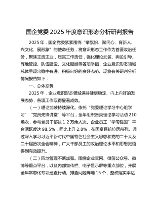 国企公司2025年度意识形态分析研判报告
