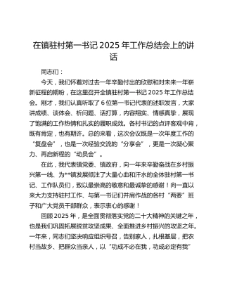 在乡镇驻村第一书记2025年工作总结会上的讲话