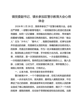 乡镇副书记参加区警示教育大会心得体会