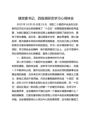 乡镇党委书记学习四中全会心得体会