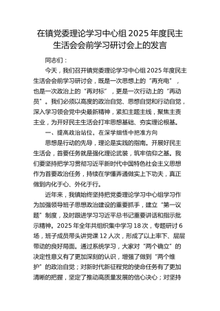 在乡镇党委理论学习中心组2025年度民主生活会会前学习研讨会上的发言