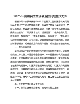 2025年度乡镇民主生活会查摆问题整改方案