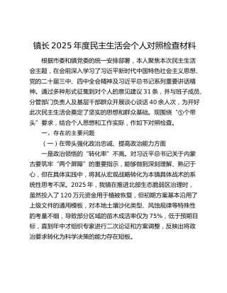 乡镇长2025年度民主生活会个人对照检查材料