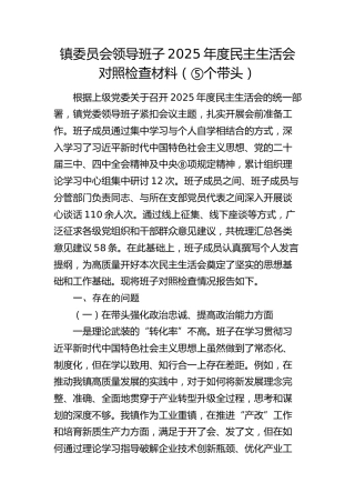 乡镇委员会领导班子2025年度民主生活会对照检查材料（五个带头）