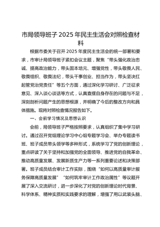 市局领导班子2025年民主生活会对照检查材料