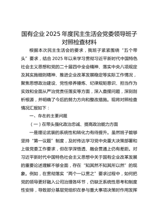国企2025年度民主生活会党委领导班子对照检查材料