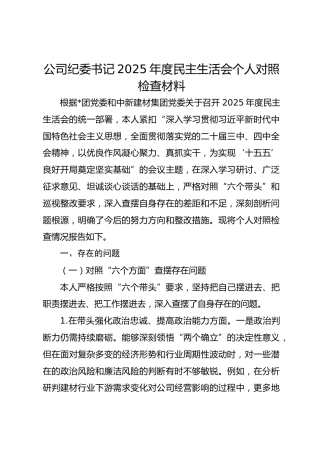 公司纪委书记2025年度民主生活会个人对照检查材料