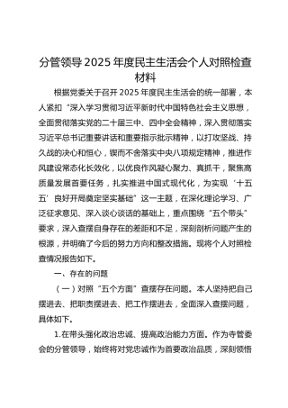 分管领导2025年度民主生活会个人对照检查材料
