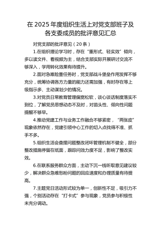 2025年度组织生活会对党支部班子及各支委成员批评意见汇总