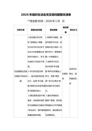 08-1 清单-支部2025年组织生活会党支部问题整改清单 (1)