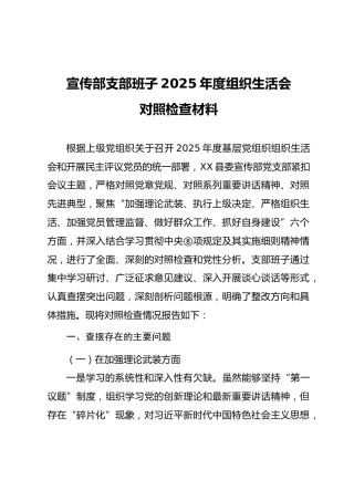 04-4 班子对照-党支部2025年度组织生活会“六个对照”班子对照检查（宣传系统党组织）
