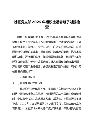 04-3 班子对照-党支部2025年度组织生活会“六个对照”班子对照检查（村、社区党组织-范文2篇）