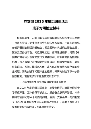 04-1 班子对照-党支部2025年度组织生活会“五个对照”班子对照检查（通用参考）