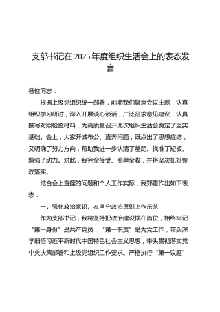 03-6 表态发言-支部书记在2025年度组织生活会上的表态发言