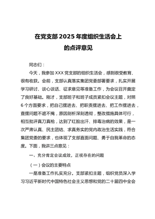 03-5 点评指导-在党支部2025年度组织生活会上的点评意见