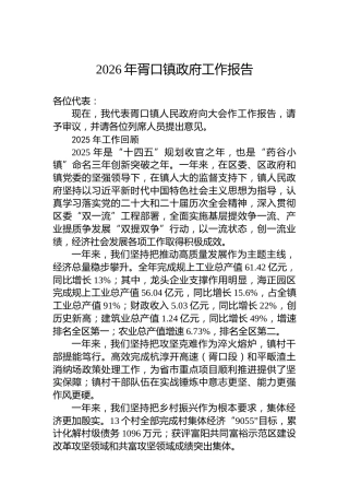 2026年胥口镇政府工作报告