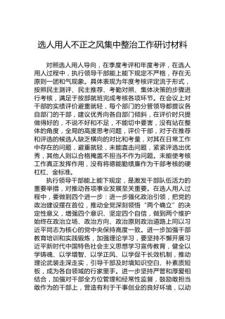 选人用人不正之风集中整治工作研讨材料