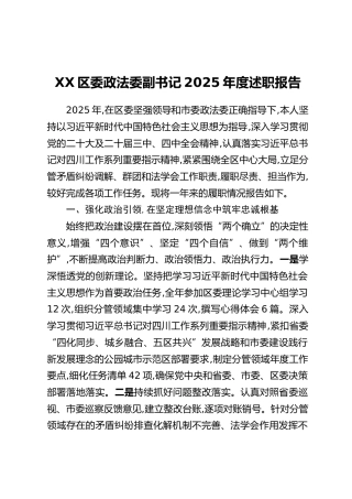 XX区委政法委副书记2025年度述职报告