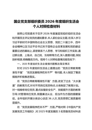 国企党支部组织委员2026年度组织生活会个人对照检查材料